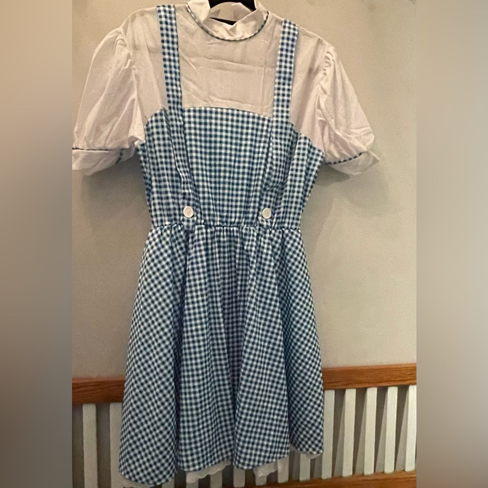 Wizard of Oz Dorothy costume